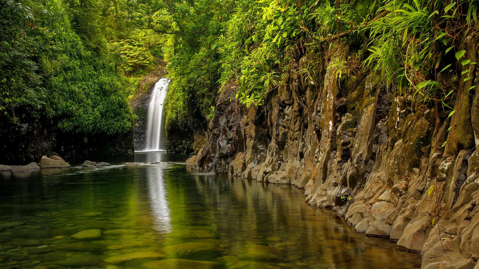 SJ. Taveuni Fiji